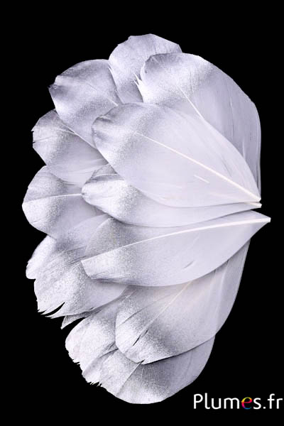 Pétales en plumes - 6-8 x 3-4 cm - blanc-argenté